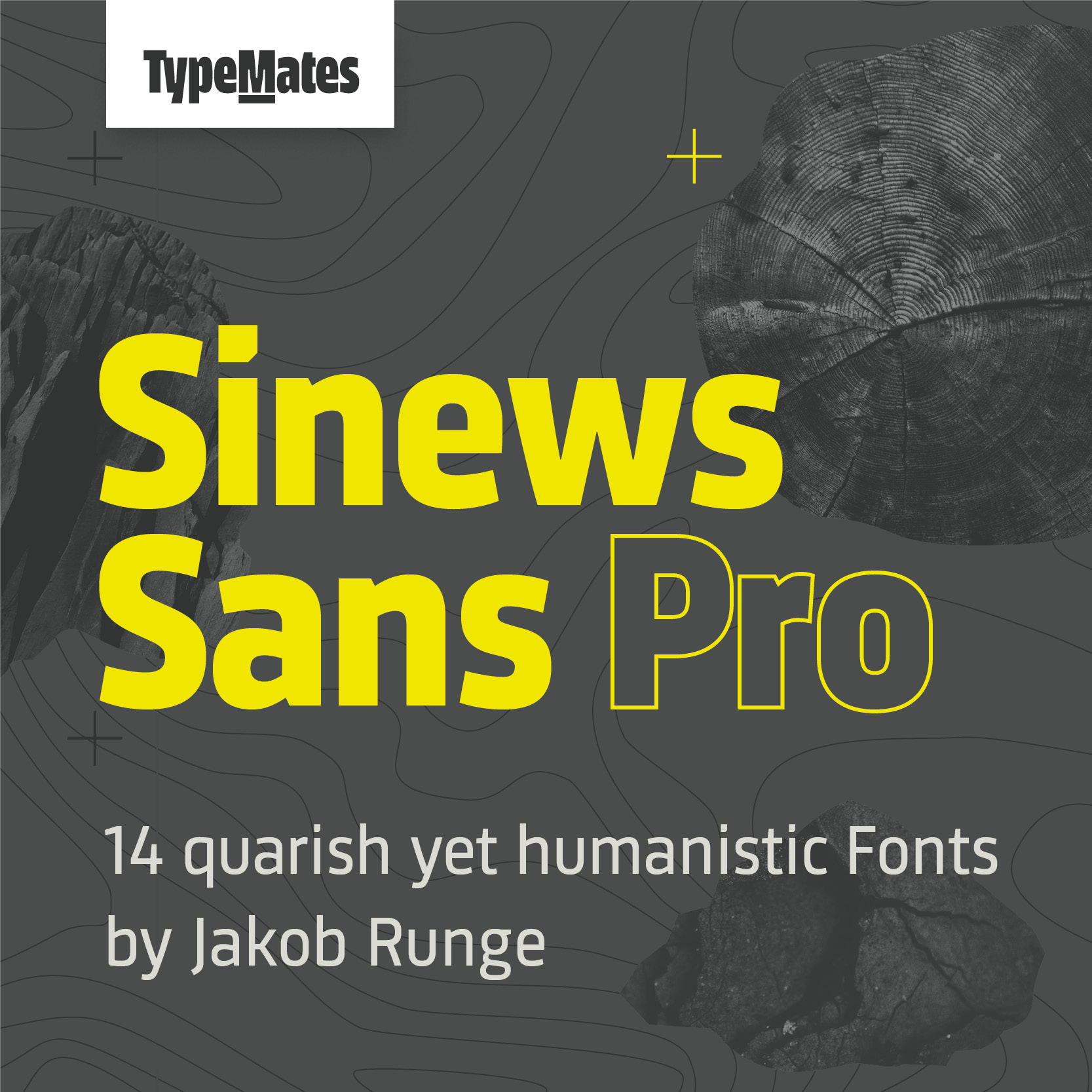 Download Sinews Sans Pro Free - Versatile Modern Typeface