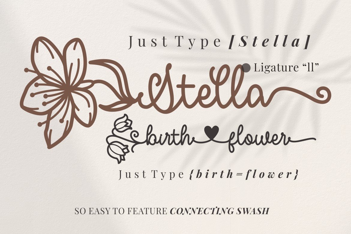 Download Stella Script Font Free - Stylish Handwritten Elegance