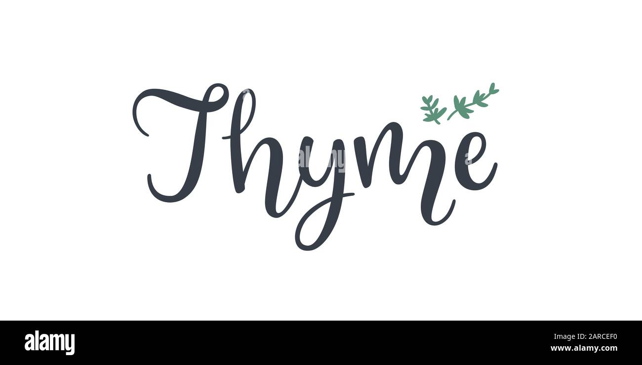 Скачайте бесплатно шрифт Thyme - стильный и современный шрифт