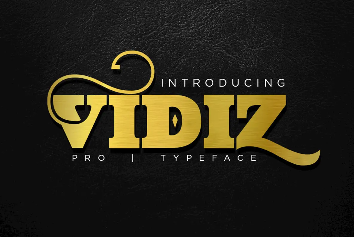 Скачайте шрифт VIDIZ PRO – современный и стильный типографический выбор