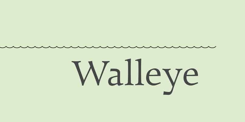 Download Walleye Font Free - Unique Artistic Style