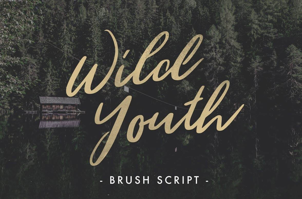 Download Wild Youth Regular - Free Playful Font Style