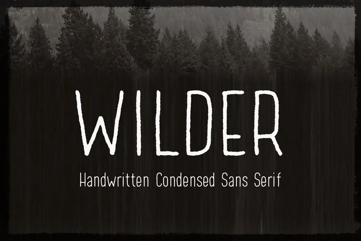 Download Wilder Font Free - Versatile Modern Typeface