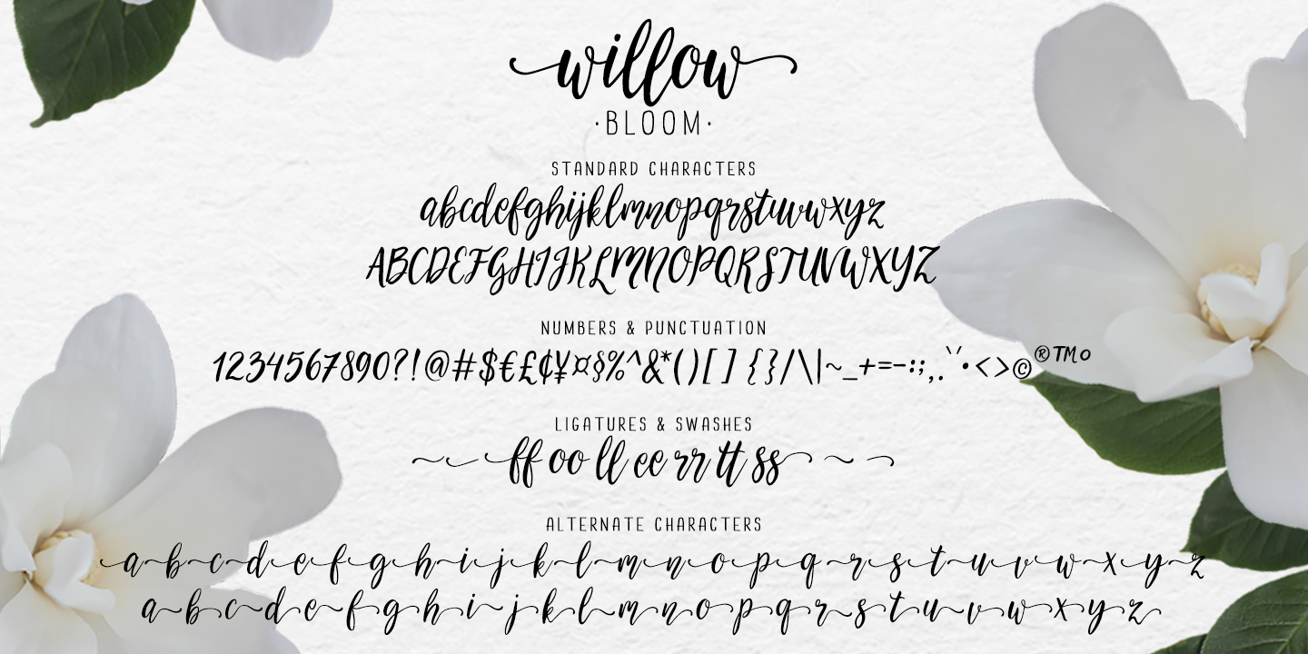 Download Willow Bloom Font Free - Elegant Floral Script