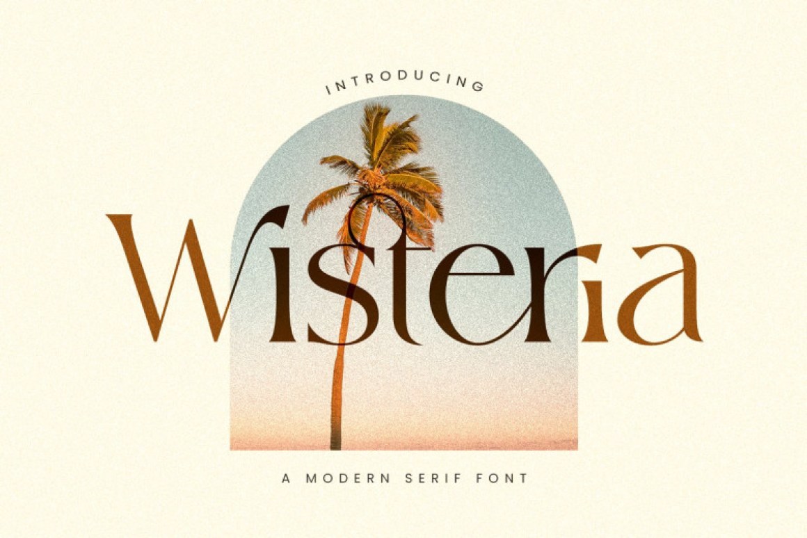 Download Winteria Font Free - A Versatile Winter Script