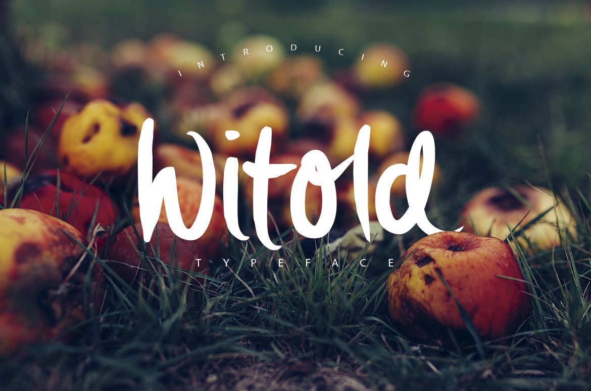 Download Witold Script Typeface Free - Elegant Handwritten Style