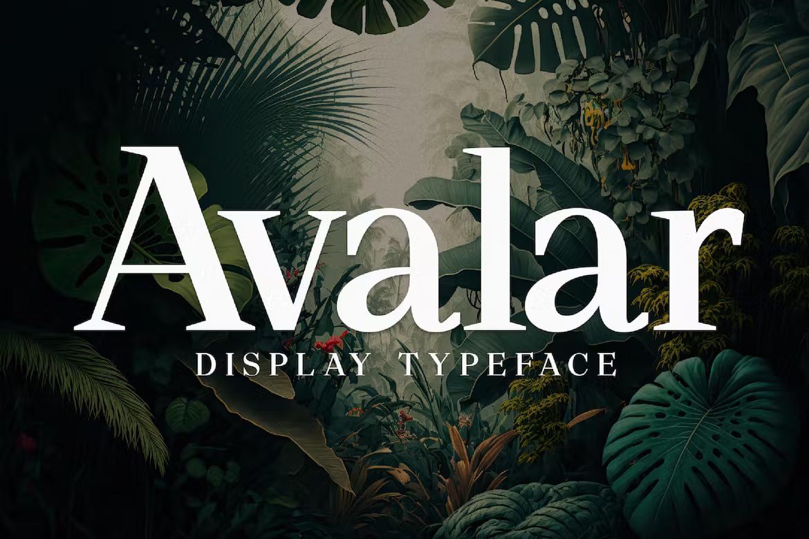 Download Avalar Elegant Display Font for Free - Stylish Typography