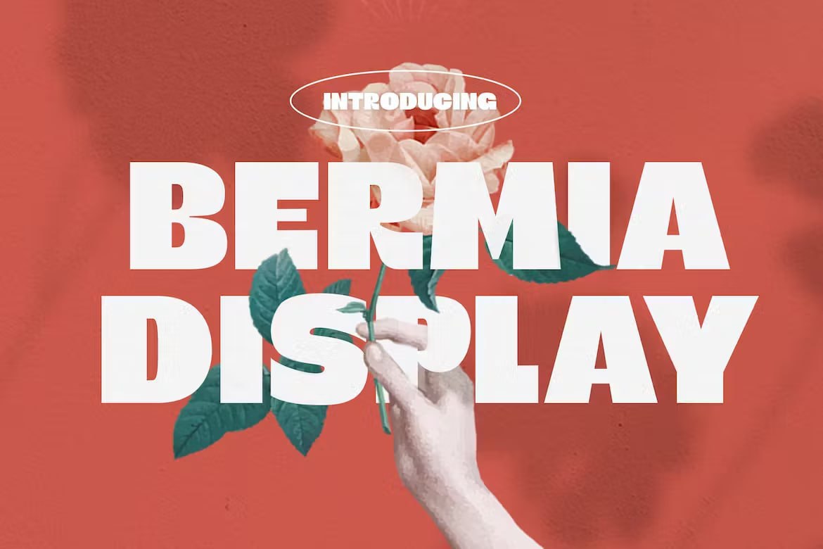 Download Bermia Display Fonts Free - Unique Display Typography