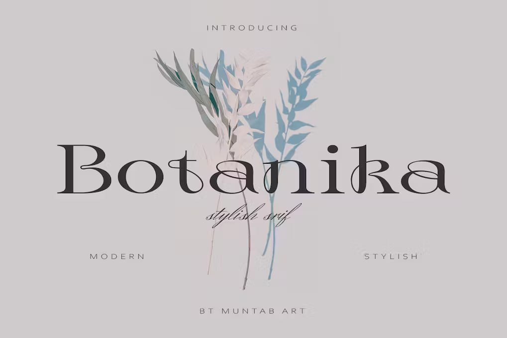 Скачайте бесплатно шрифт Botanika Stylish Serif - утонченный и современный