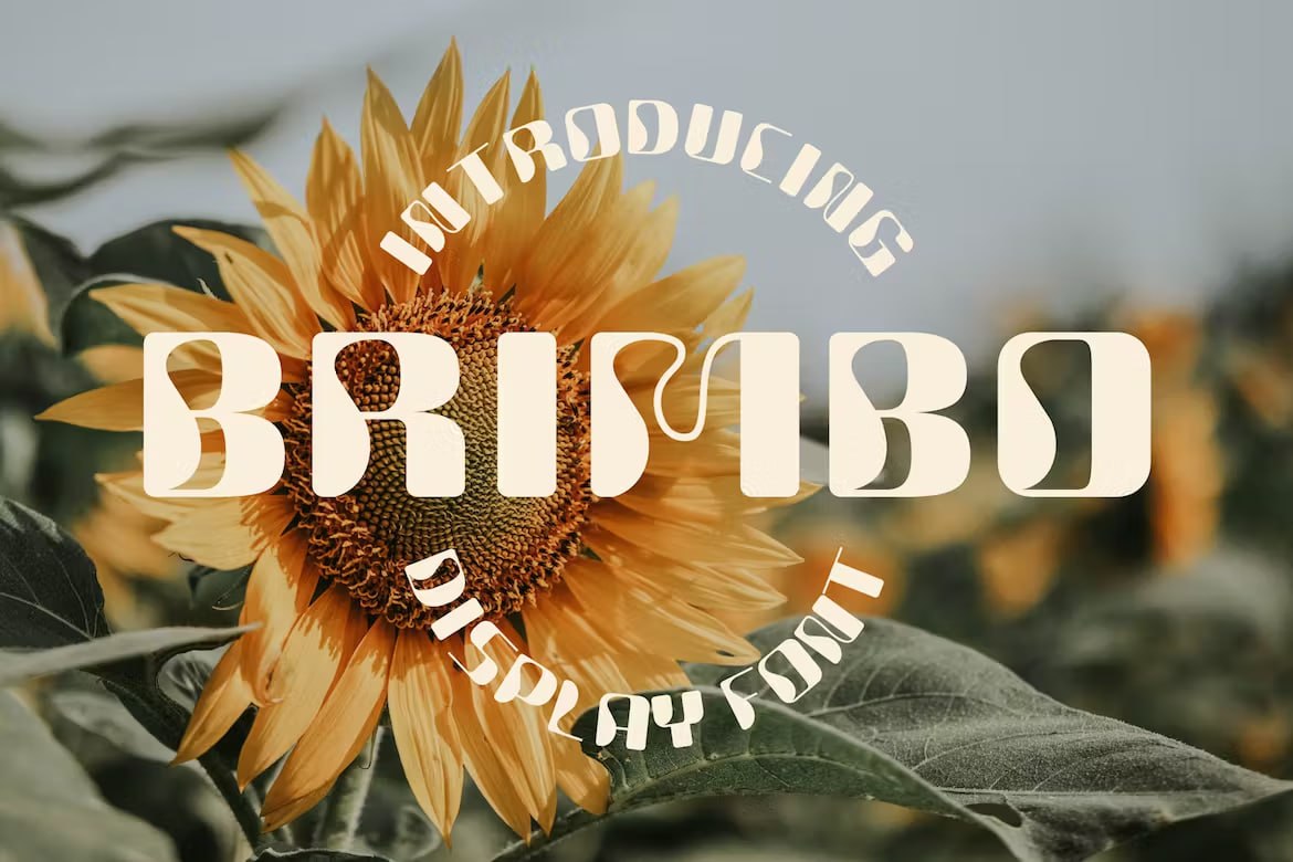 Download Brimbo - Free Modern Display Font for Creatives