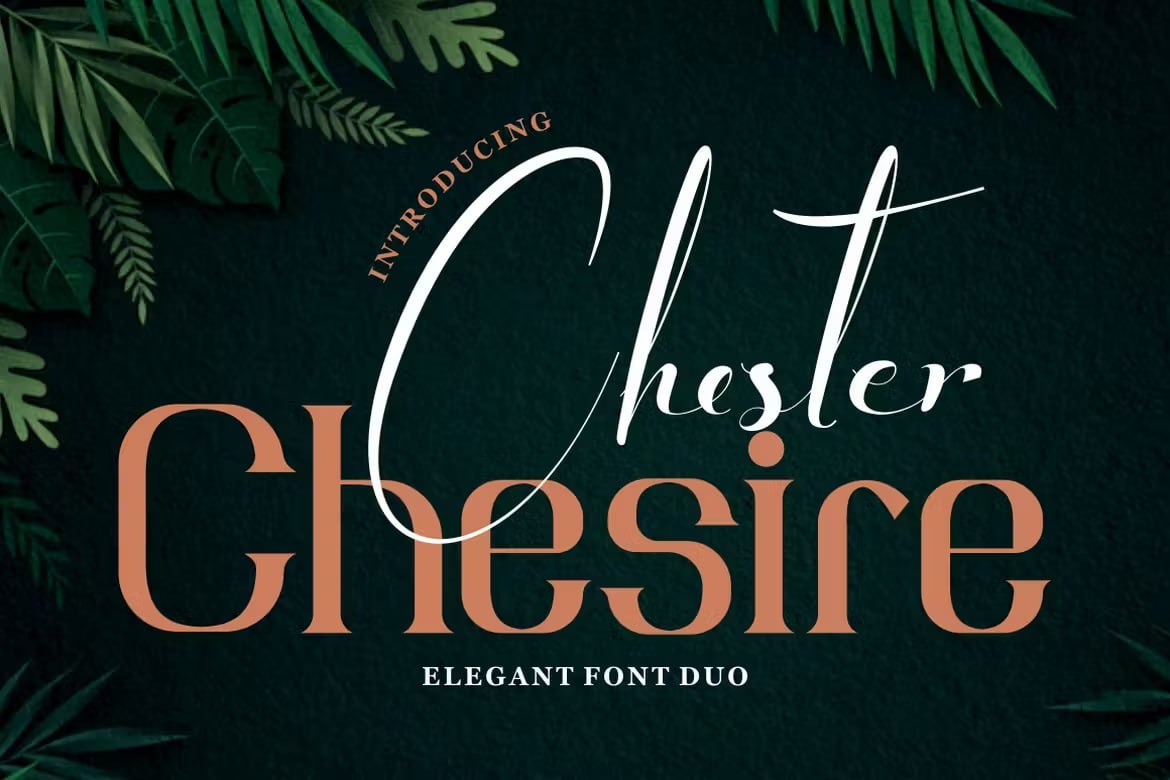 Скачайте Chester Chesire Elegant Font Duo - уникальный стиль для ваших проектов