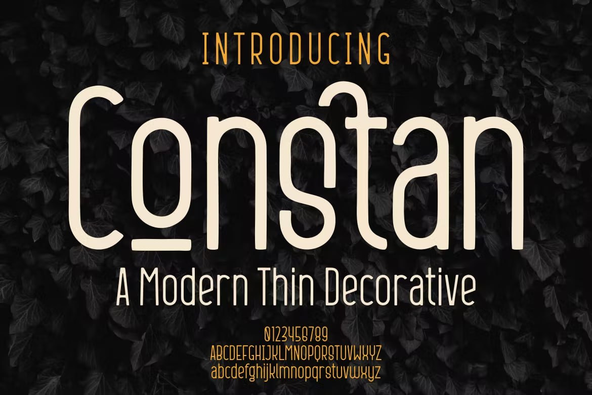 Download Constan Font Free - Modern Versatile Typeface