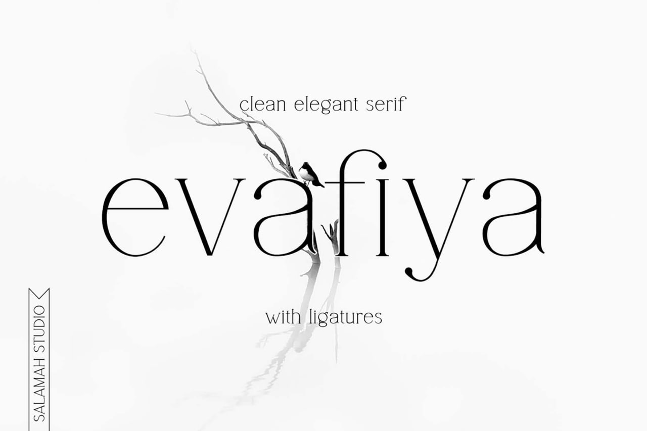 Entdecken Sie die Evafiya Schriftart - Kostenloser Download für kreative Designs