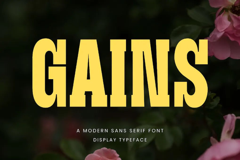 Laden Sie die Gains Modern Serif Font kostenlos herunter - Stilvolle Eleganz für Ihr Design