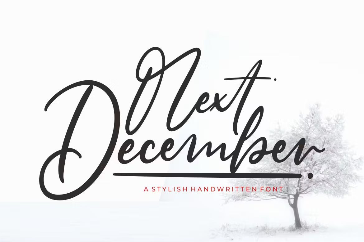 Download Next December Script Font Free - Stylish & Elegant