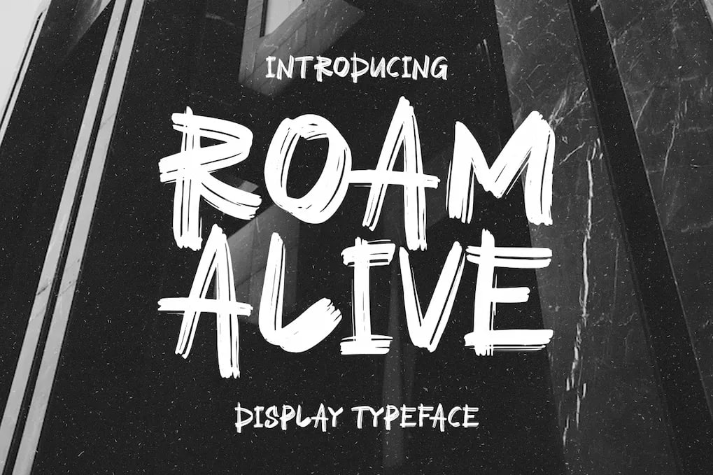 Download Roam Alive Display Font Free - Creative Typography