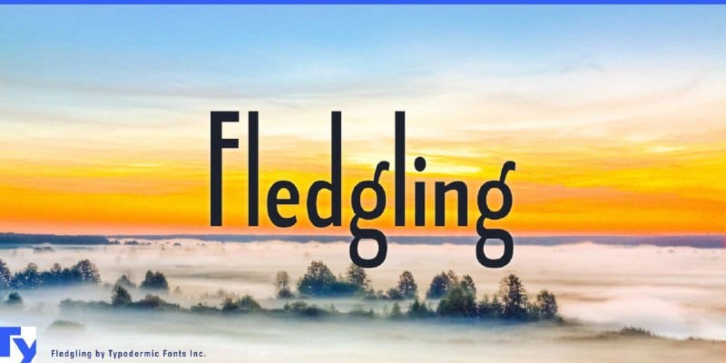 Laden Sie die Fledgling Schriftart kostenlos herunter - Verspielt und Modern