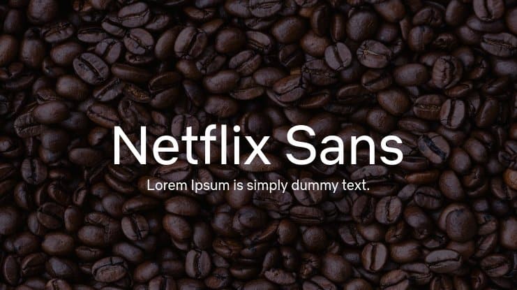 Netflix Sans