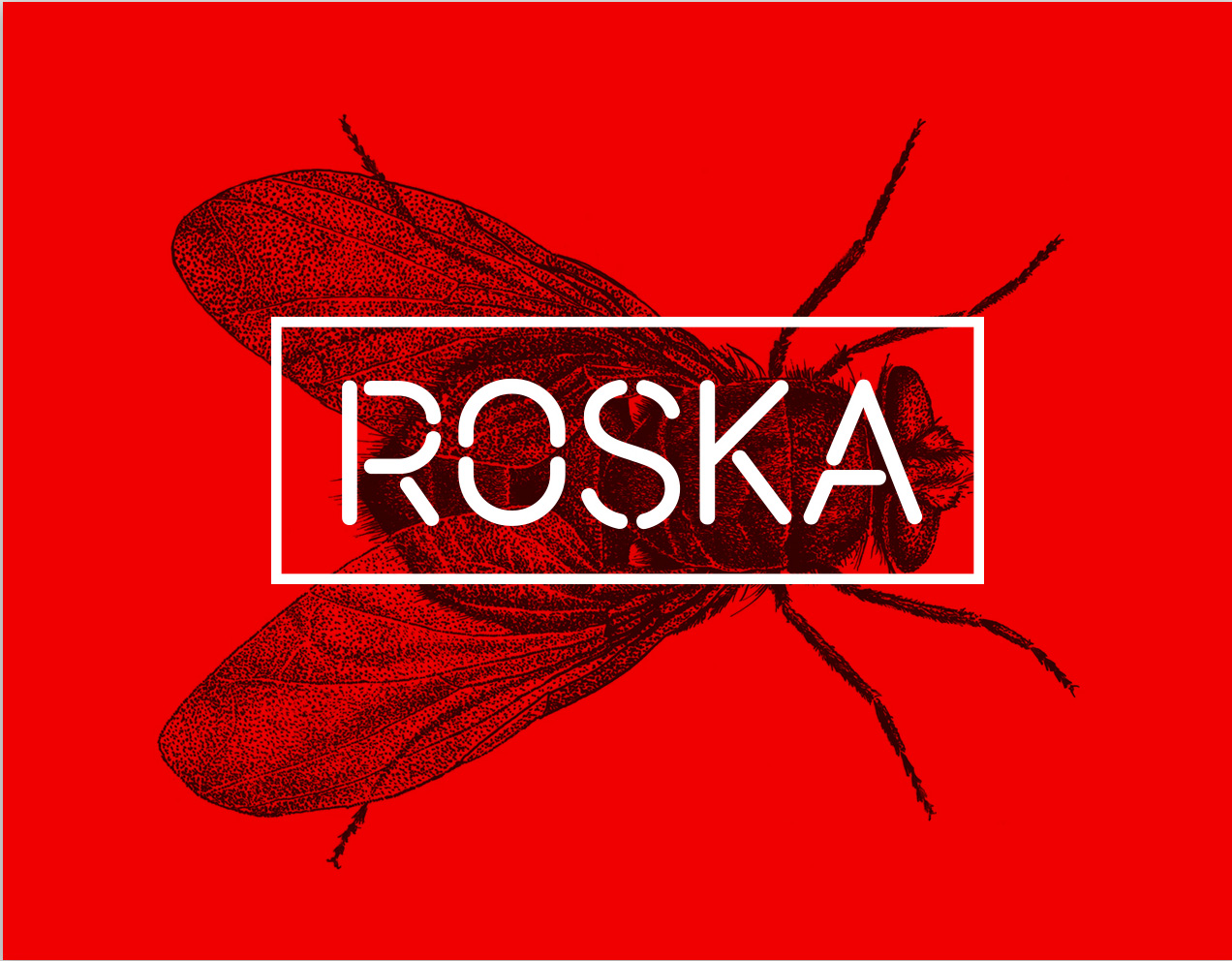 Download Roska Font Free - Modern & Stylish Typeface