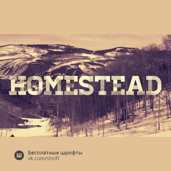 Skachat Shrift Homestead Personal License Besplatno