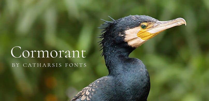 Скачайте бесплатно шрифт Cormorant OTF - элегантный и классический стиль