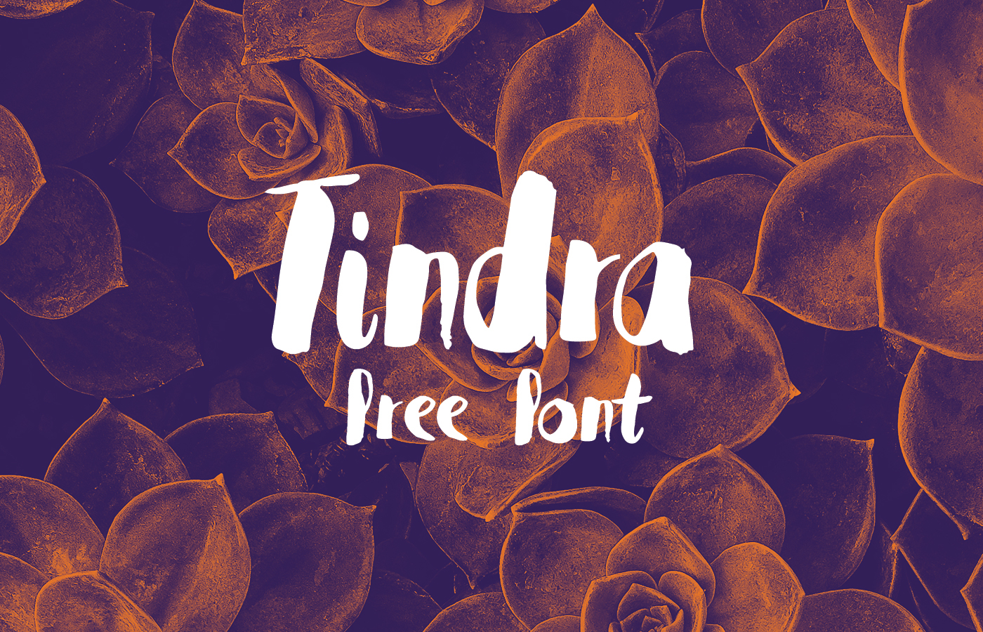 Download Tindra Font Free - Elegant and Versatile Typeface