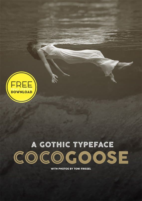 Download Cocogoose Font Free - Chic Modern Type Design