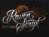 raven-script