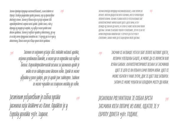 Download Jasminum font (typeface)