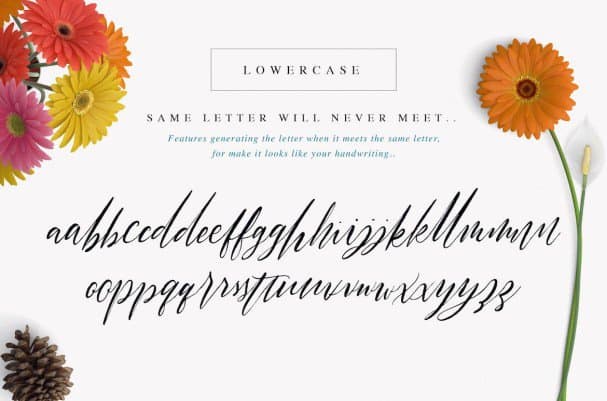Download Halosense Script font (typeface)