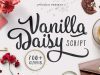 Vanilla Daisy