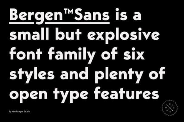 Download Bergen Sans font (typeface)