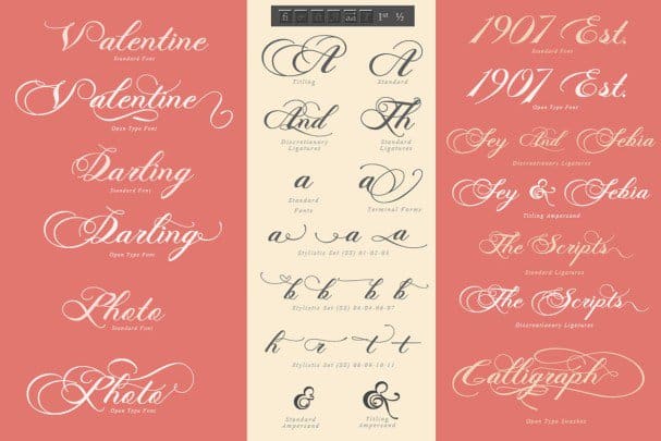 Download Photograph - Script Wedding font (typeface)