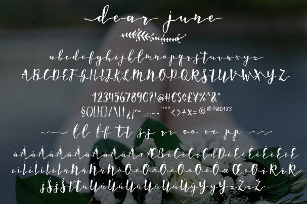 Download Romantic wedding - Dear June font (typeface)