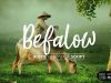 Befalow Rustic