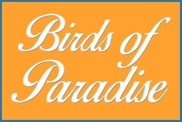 Birds Of Paradise Font Free Download Allbestfonts Com