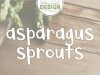 Asparagus Sprouts