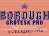 Borough Grotesk Pro