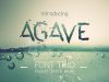 Agave Font Trio