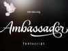 Ambassador