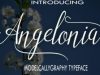 Angelonia