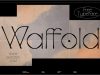 Waffold