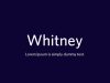 Whitney Font Family