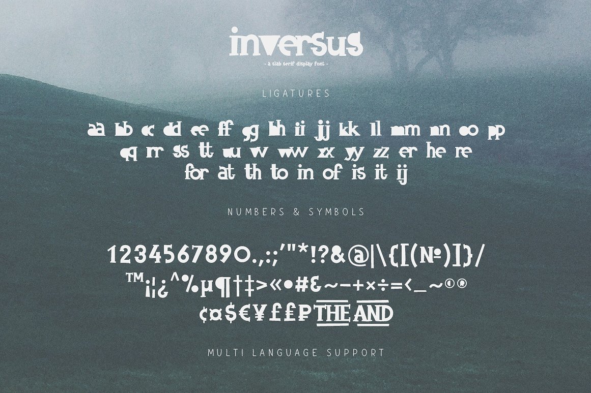 Inversus – a slab serif display