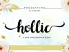 Hollic Brush