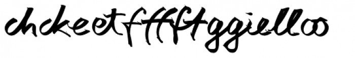 AutographScriptEF Bold Regular