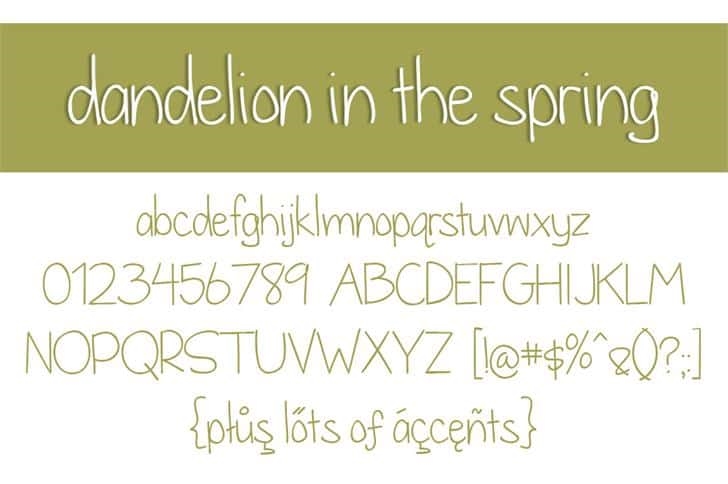 Dandelion in the Spring 
