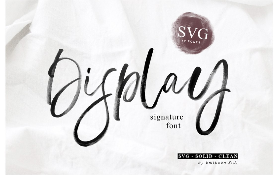 Display Signature SVG