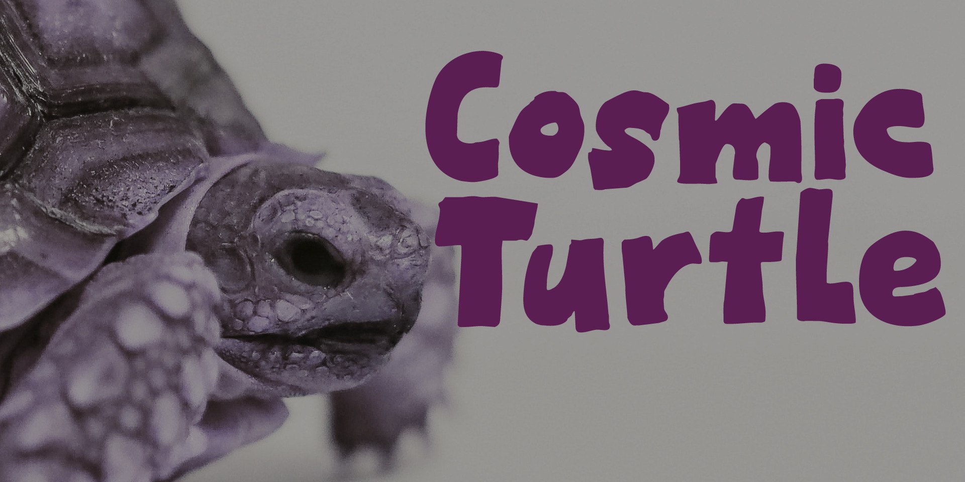 cosmic turtle
