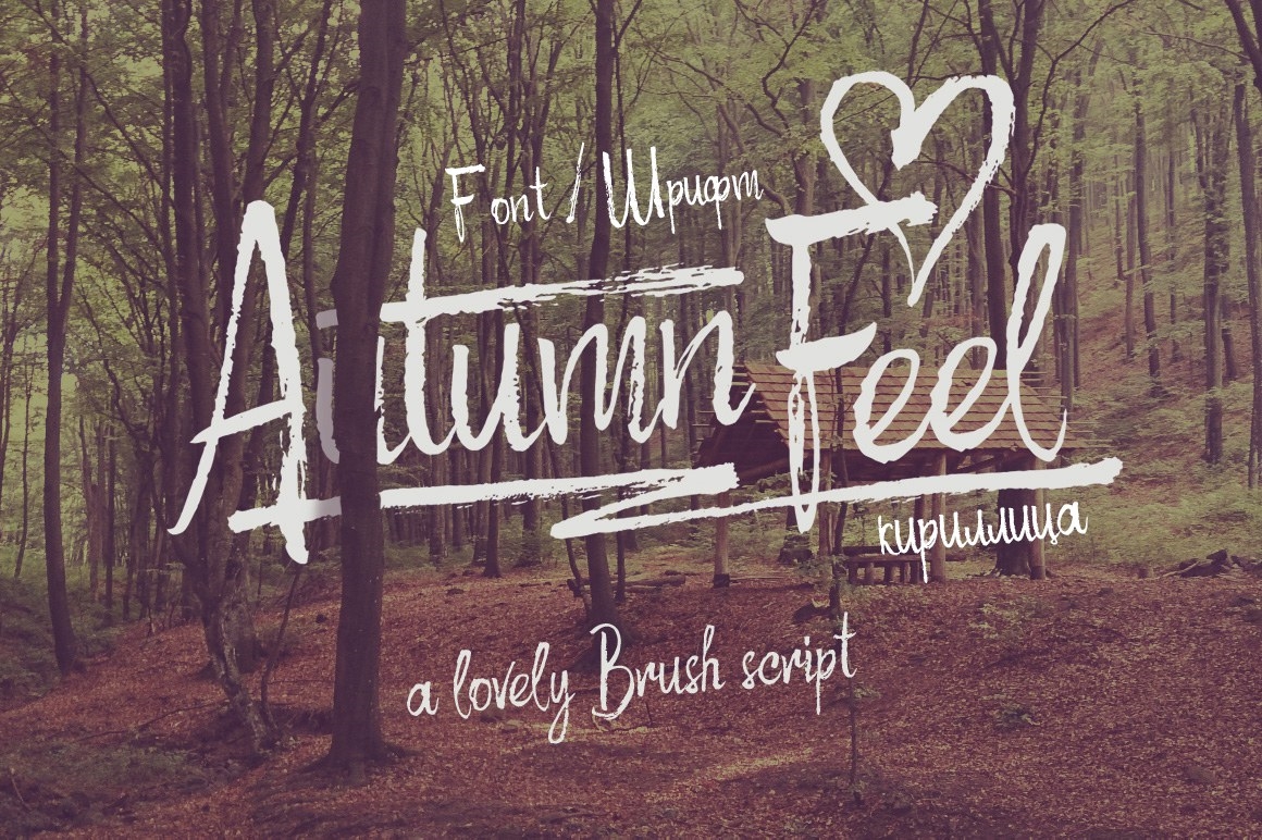 Autumn Feel 